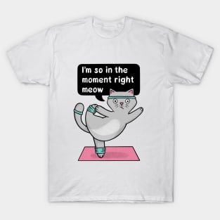 Yoga Cat - In the Moment T-Shirt